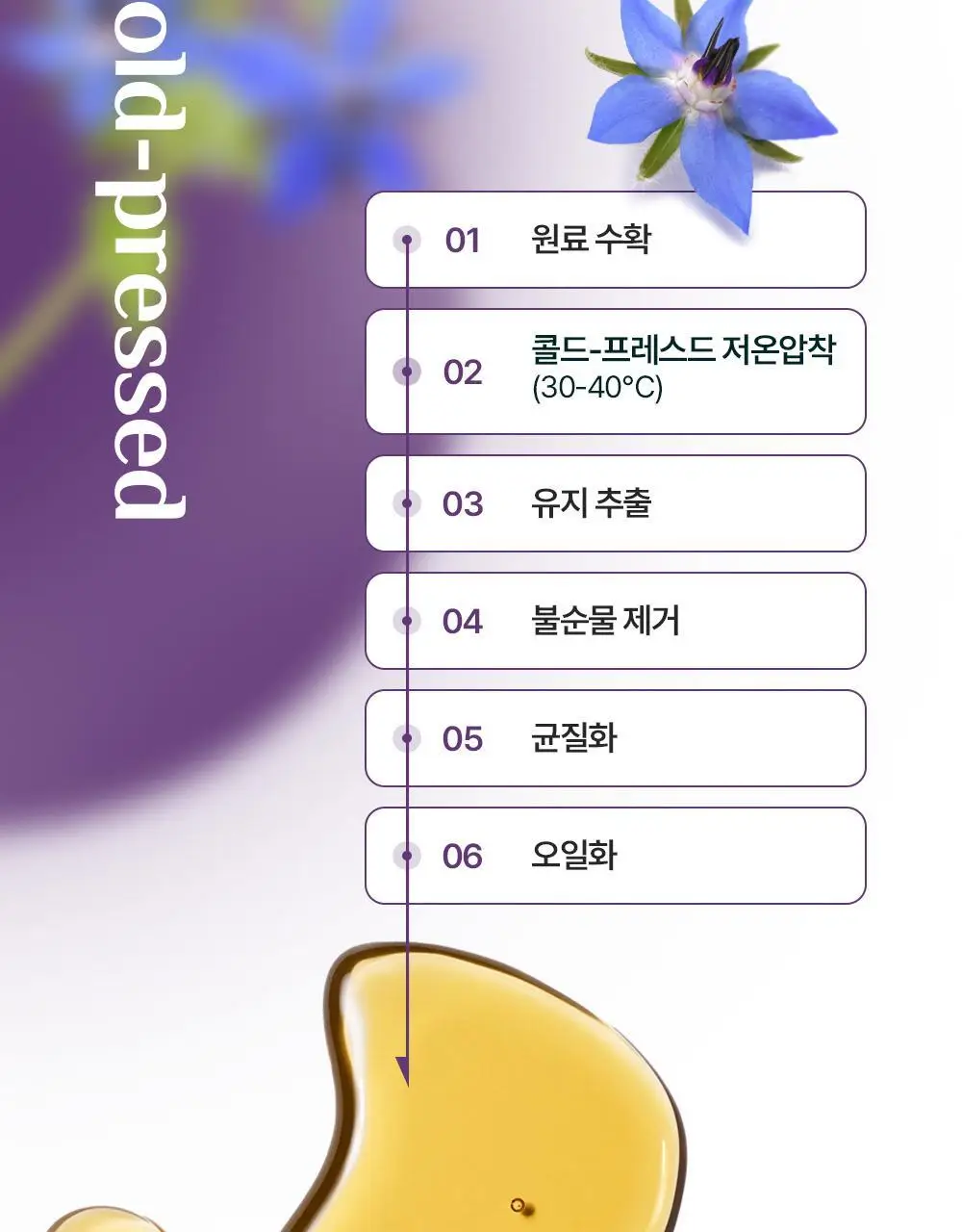 [콜레스테롤 개선] 이너플로라 보라지유 60캡슐 (1개월분) 상세페이지 22